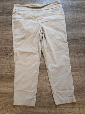 Ruby Rd. Light Beige Chino Pants